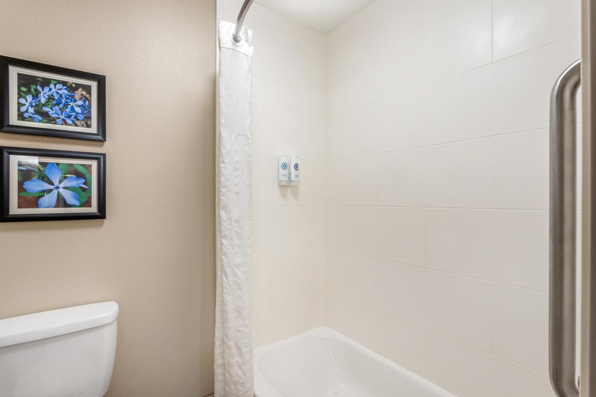Comfort Inn & Suites Конуэй Экстерьер фото