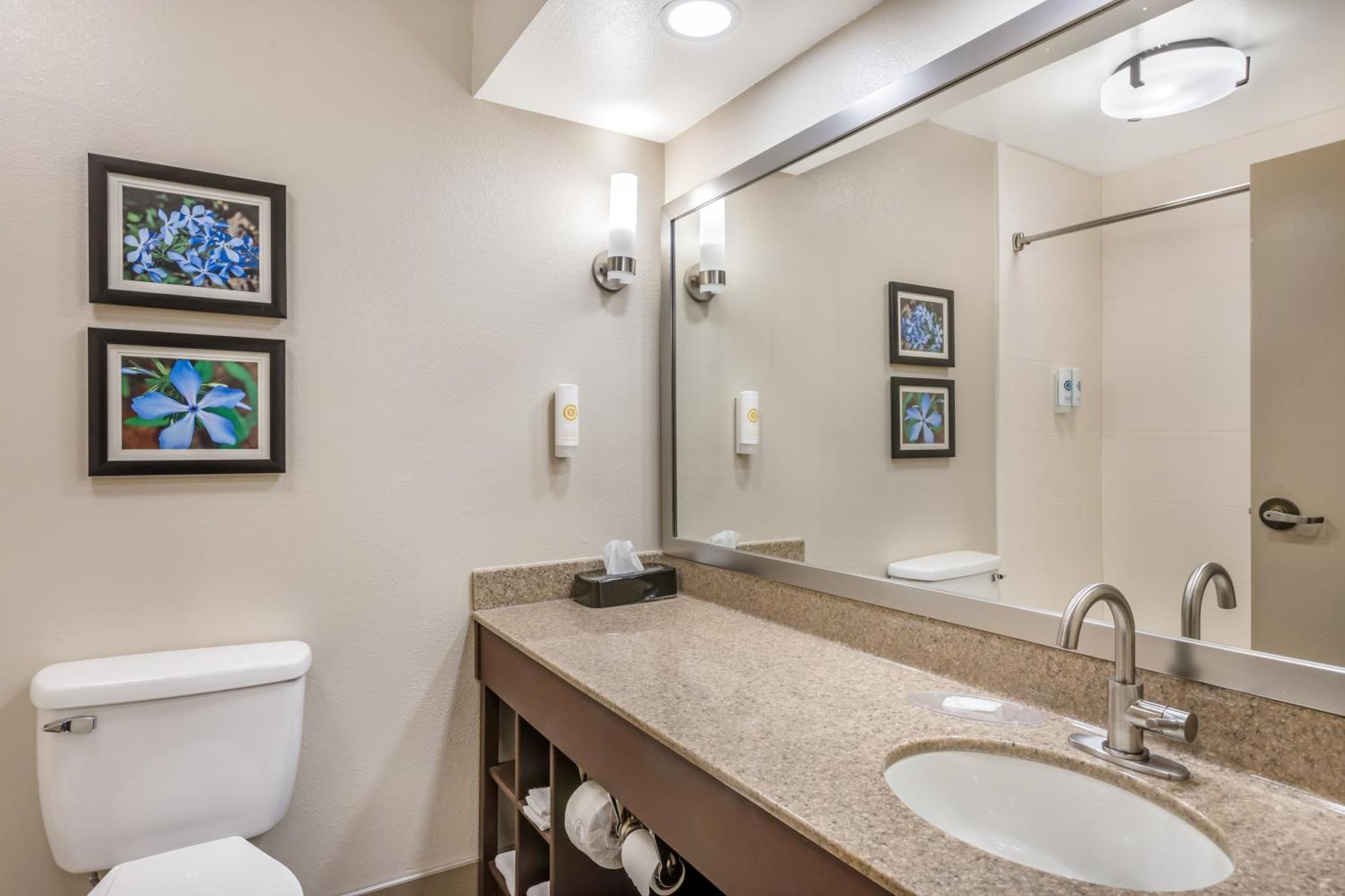 Comfort Inn & Suites Конуэй Экстерьер фото